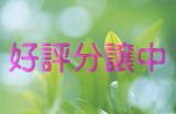 #樹木葬 #桜葬 #そら #永代供養 #宝塚 #西宮 #芦屋 #伊丹 #川西 #尼崎